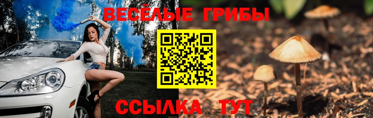 Галлюциногенные грибы Cubensis  Вход с VPN  Конаково 